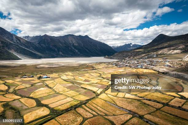 magnificent ranwu lake with paddy field - região autónoma do tibete imagens e fotografias de stock