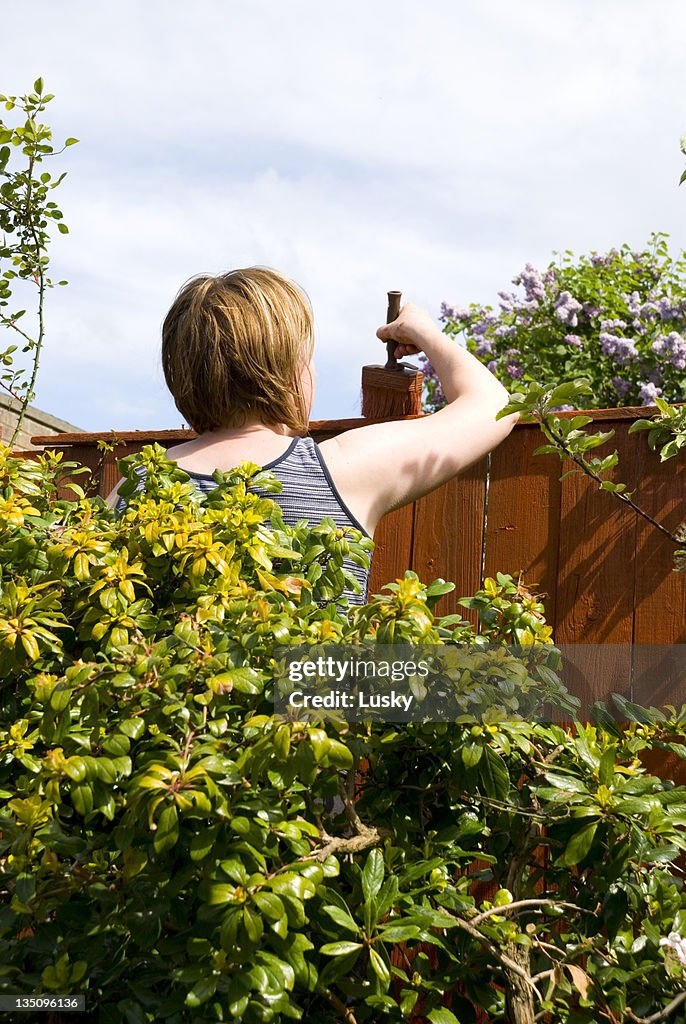 Painting the fence