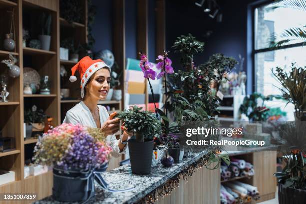 smiling mid adult woman florist small business flower shop owner. - tuincentrum stockfoto's en -beelden