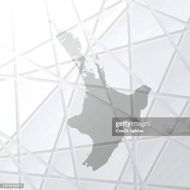 ilustrações de stock, clip art, desenhos animados e ícones de north island map with mesh network on white background - auckland