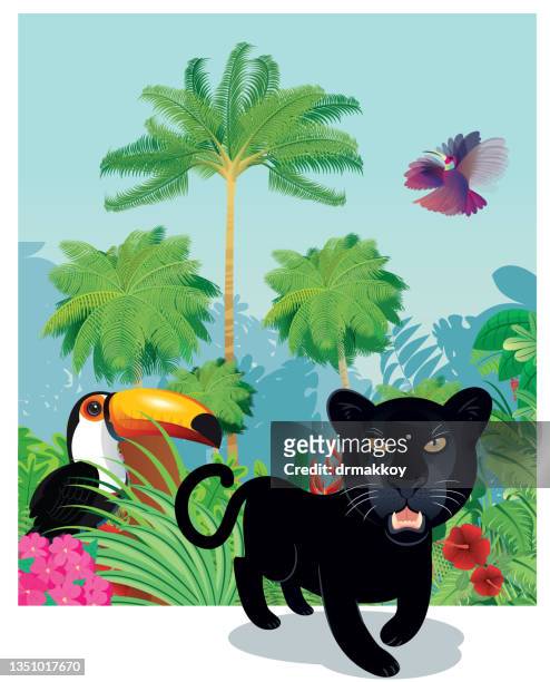 ilustraciones, imágenes clip art, dibujos animados e iconos de stock de pantera negra en la selva tropical - canturrear