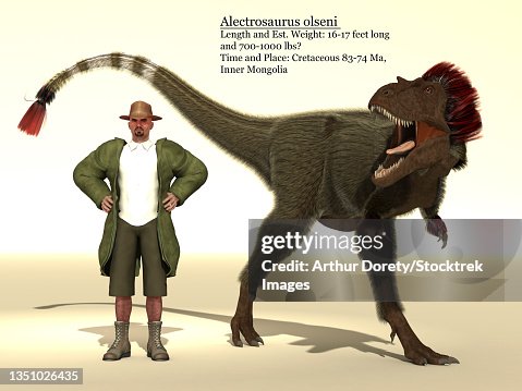 Alectrosaurus dinosaur size reference chart. Alectrosaurus dinosaur size reference chart.