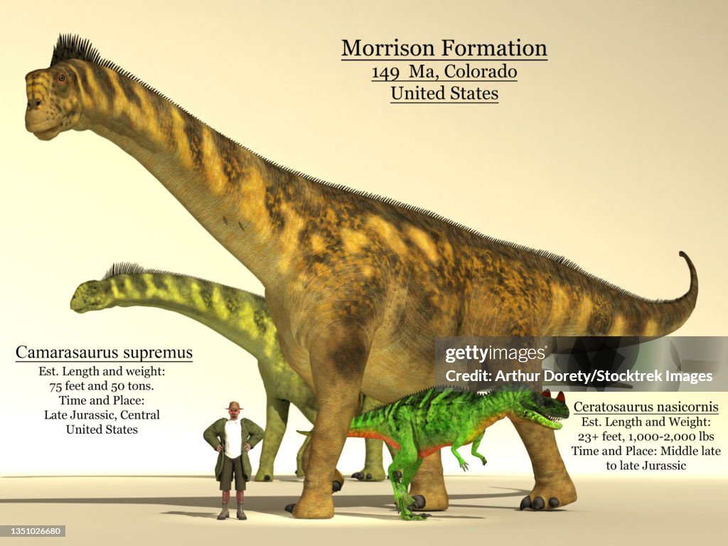 Caseosaurus Size Ceratosaurus And Camarasaurus Dinsoaur Size Comparison Chart High-Res ...