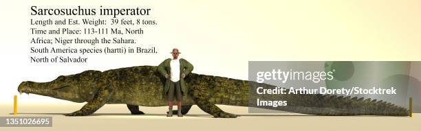 illustrazioni stock, clip art, cartoni animati e icone di tendenza di sarcosuchus size reference chart. - archeologo