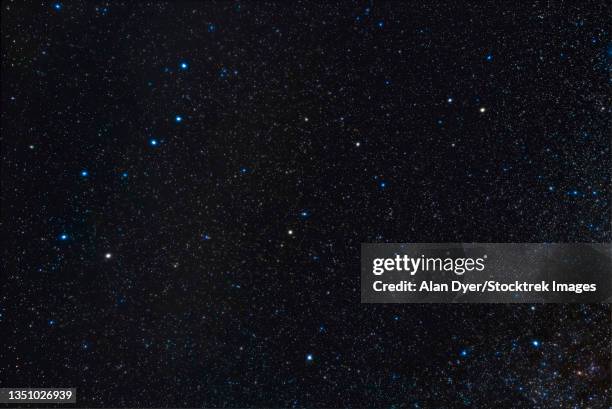 the constellation of draco the dragon winding between the big and little dippers. - draco the dragon constellation stock pictures, royalty-free photos & images
