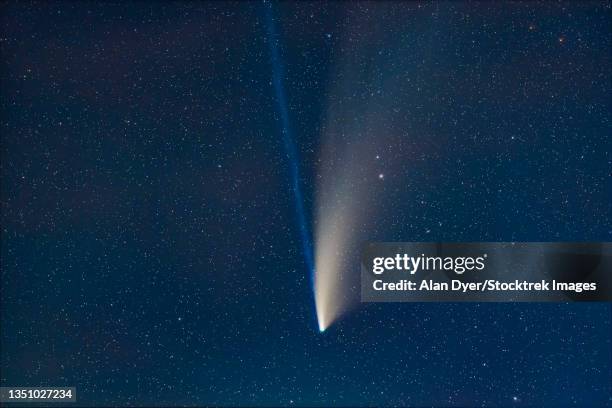 comet neowise in a telephoto lens close-up. - comet nucleus stock pictures, royalty-free photos & images