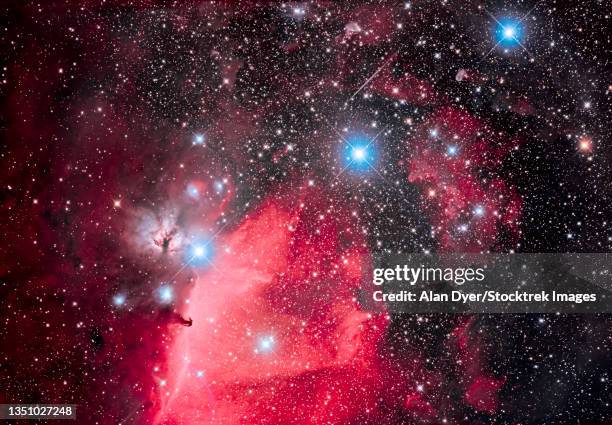 the belt of orion and the horsehead nebula. - orion belt stock pictures, royalty-free photos & images