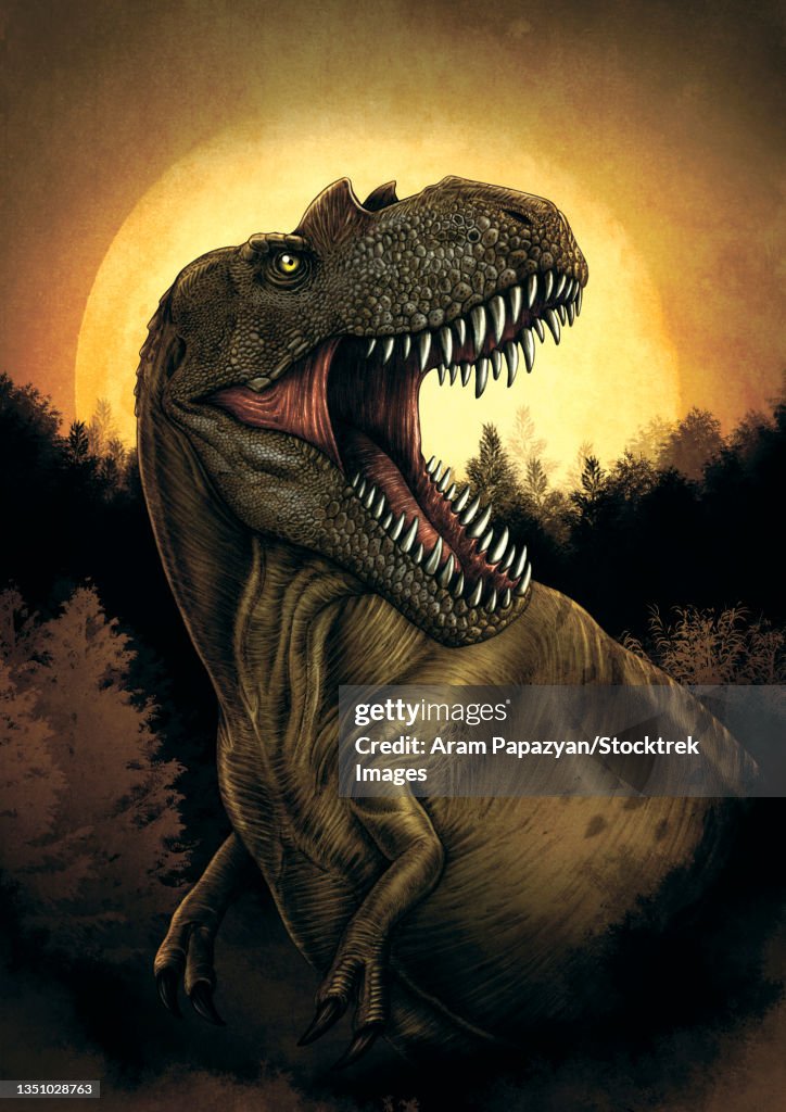 Albertosaurus dinosaur roaring under moonlight.