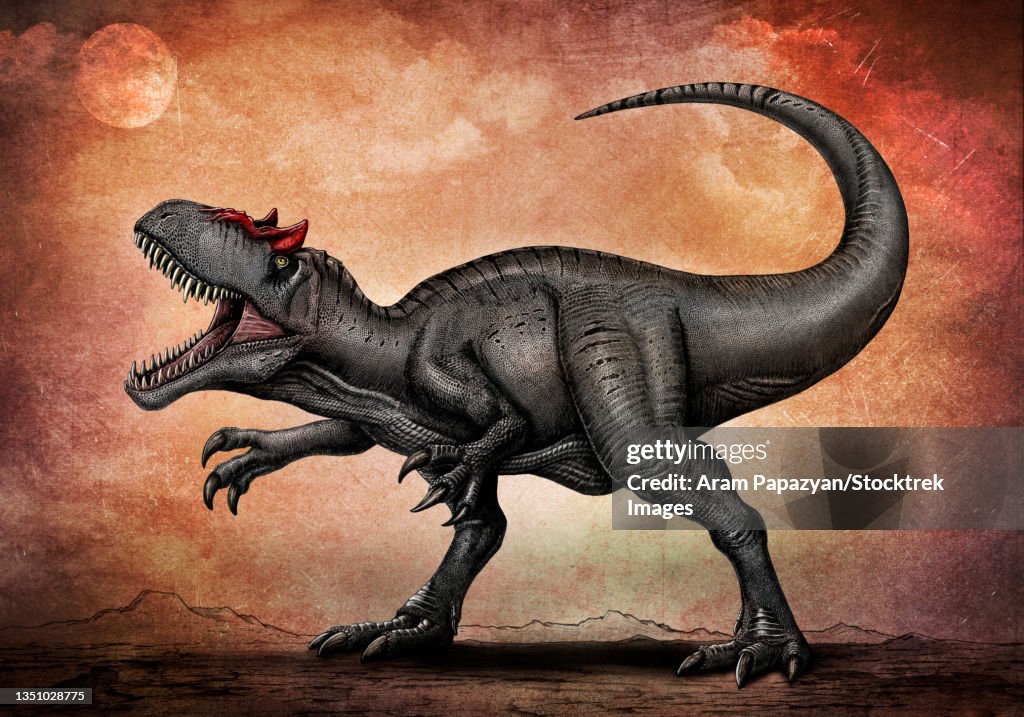 Allosaurus dinosaur.