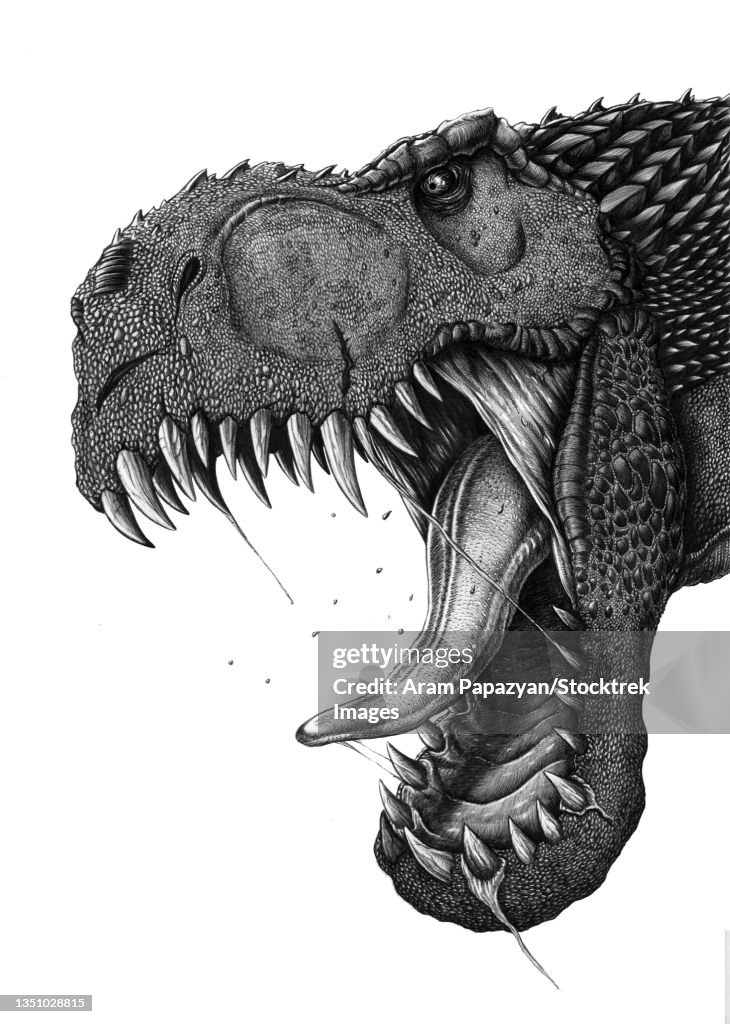 Hybridized Tyrannosaurus dinosaur head.