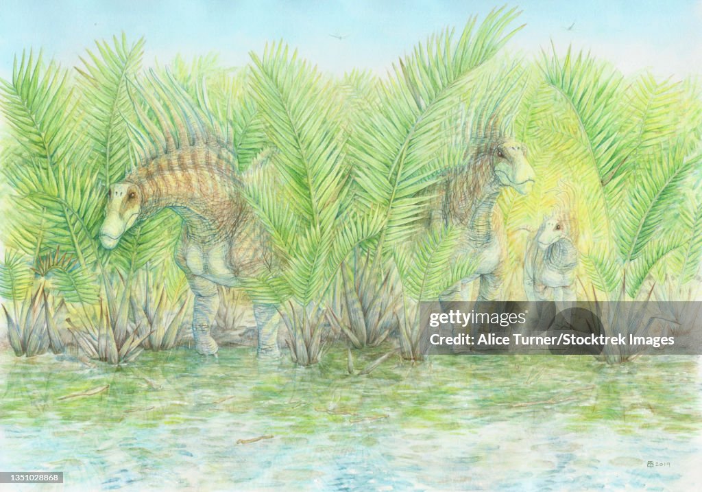 Bajadasaurus pronuspinax amongst Nipa palms.