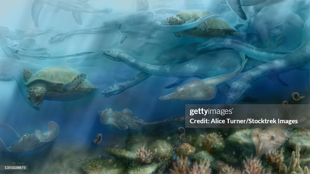 Early Cretaceous marine environment in the Boreal Sea (Westphalen, Germany).
