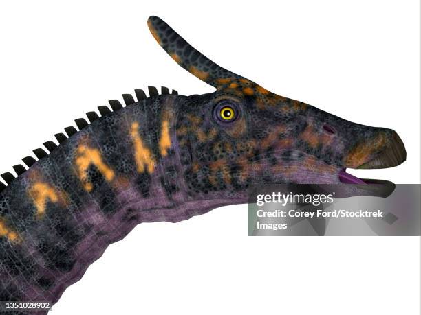 Saurus Head 41 Saurolophus Stock Photos, High-Res Pictures, and Images - Getty Images