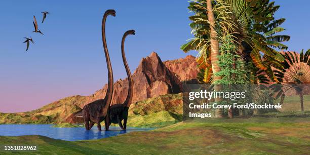 two omeisaurus dinosaurs wade through shallow water. - prehistoric era stock illustrations