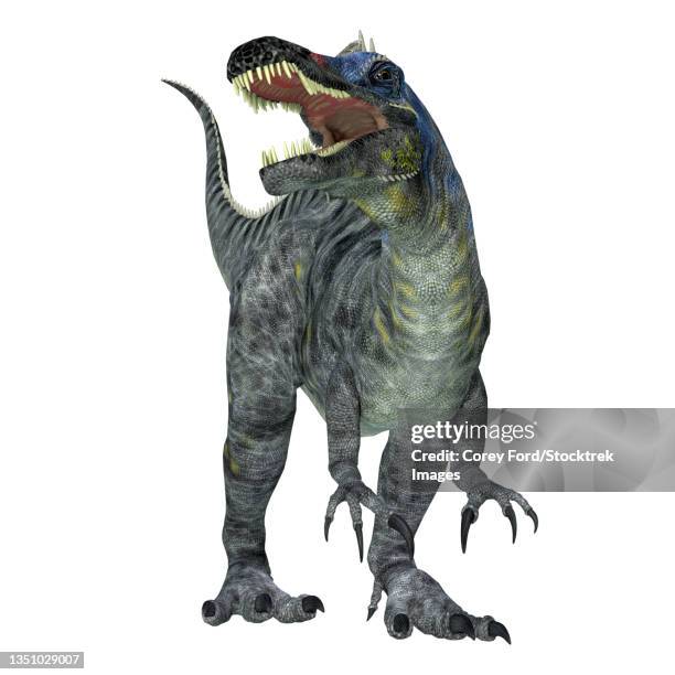 suchomimus dinosaur, front view. - suchomimus stock illustrations