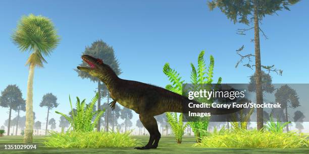tyrannotitan dinosaur in its prehistoric habitat. - cycad stock-grafiken, -clipart, -cartoons und -symbole