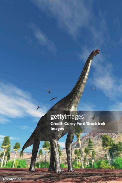 a cetiosaurus dinosaur is surrounded by dorygnathus pterosaurs. - low angle sky stock illustrations