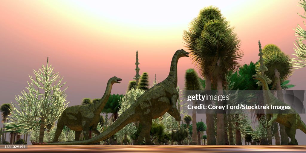 A Saltasaurus dinosaur herd munches on cycad trees.