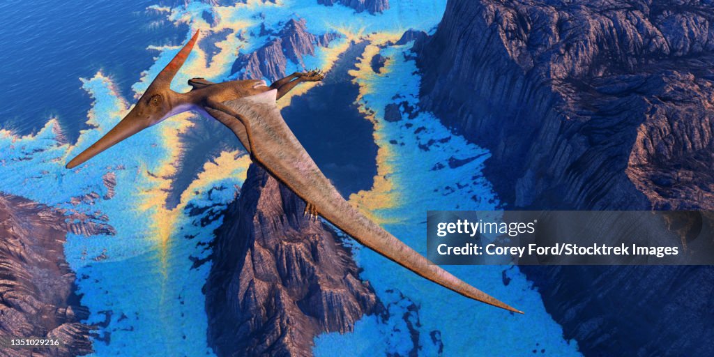 A single Pteranodon flies over coastal seas of North America.