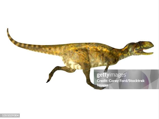 abelisaurus dinosaur running, white background. - abelisaurus stock illustrations