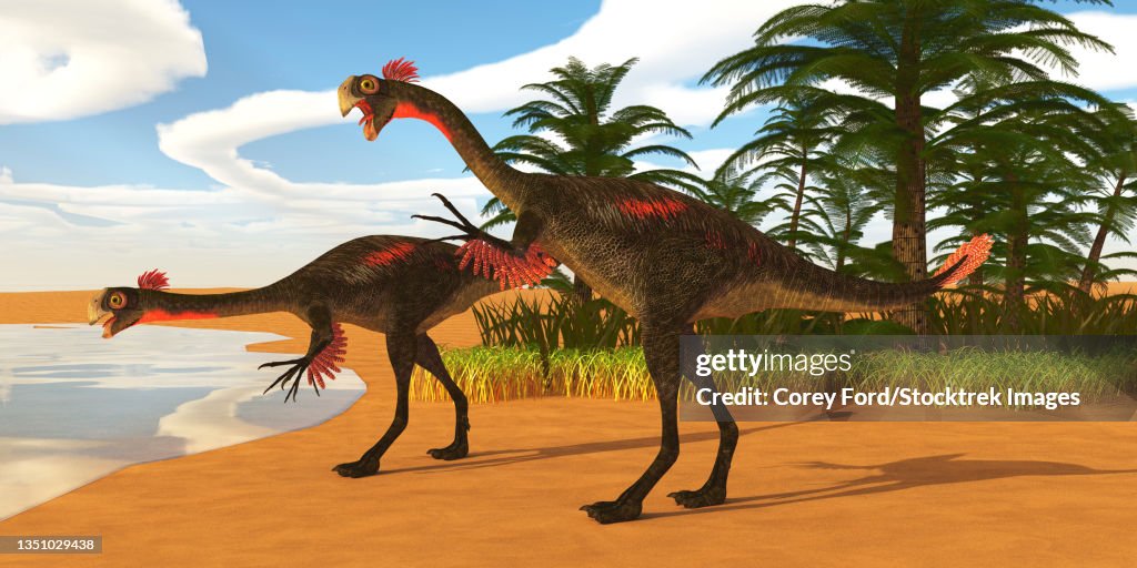 Gigantoraptor theropod dinosaurs come down to a lake to drink.