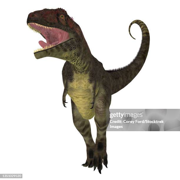 Mapusaurus Photos and Premium High Res Pictures - Getty Images