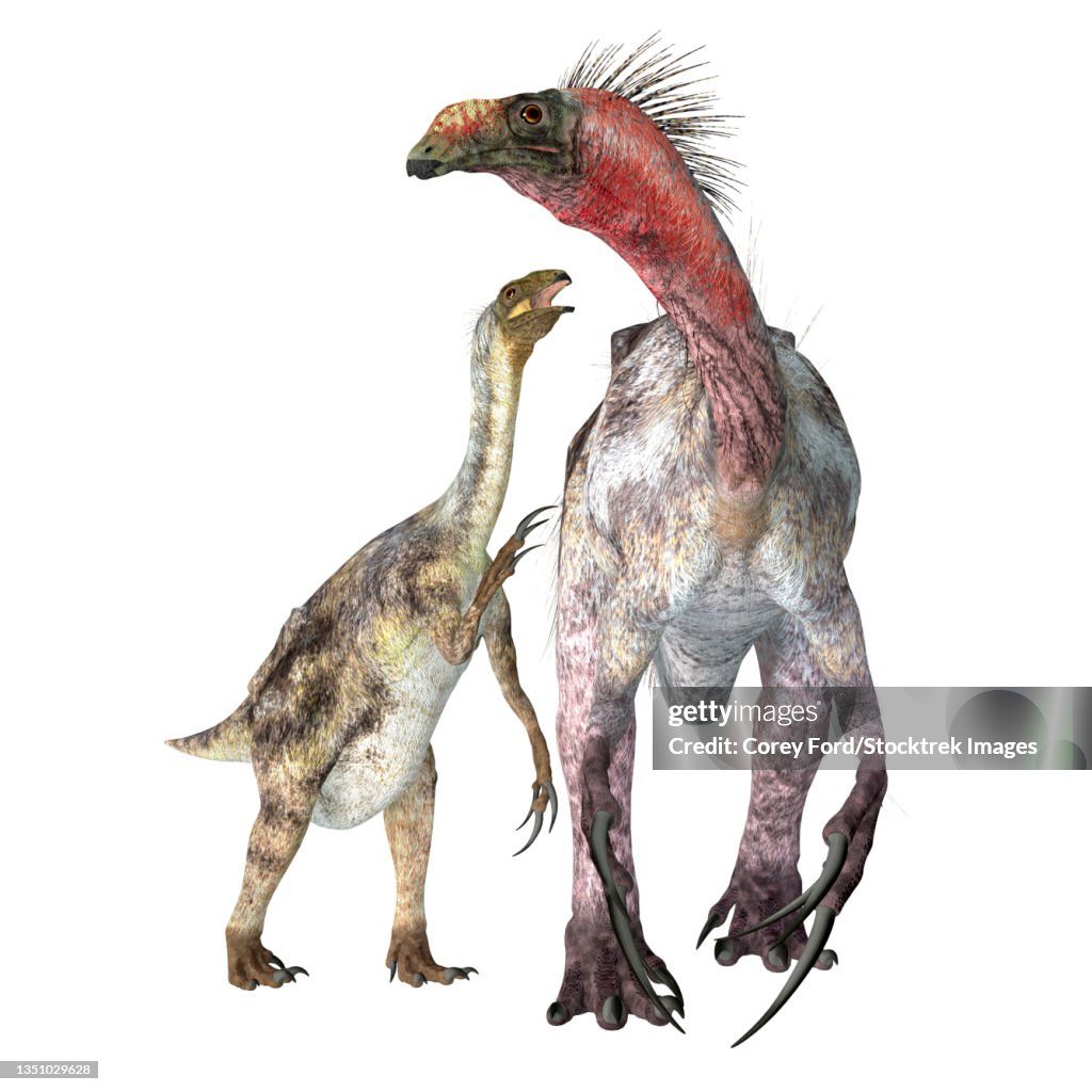 Therizinosaurus dinosaur with juvenile.