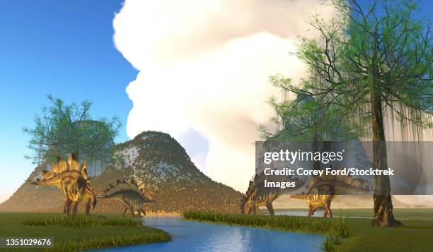 stegosaurus dinosaurs grazing along a river. - thyreophora stock illustrations