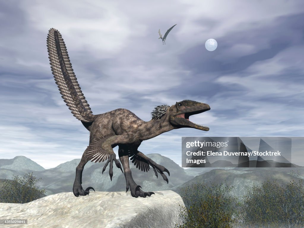 Deinonychus dinosaur roaring atop of a rock.