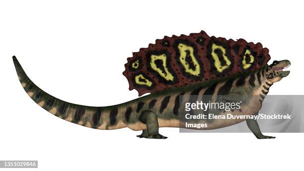 illustrazioni stock, clip art, cartoni animati e icone di tendenza di edaphosaurus prehistoric animal, isolated on white background. - onnivoro