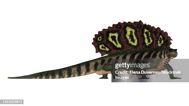 edaphosaurus prehistoric animal, isolated on white background. - edaphosaurus stock illustrations
