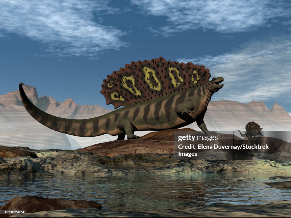 Edaphosaurus prehistoric animal atop a rock by a stream.
