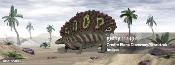 edaphosaurus prehistoric animal in a desert environment. - edaphosaurus stock illustrations