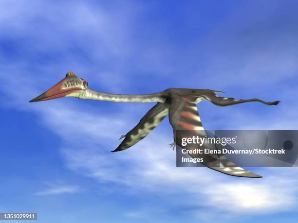 quetzalcoatlus fyling peacefully in a blue cloudy sky. - quetzalcoatlus stock-grafiken, -clipart, -cartoons und -symbole