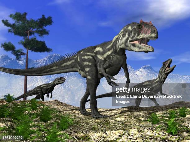 three allosaurus dinosaurs walking on a hill. - allosaurus stock illustrations