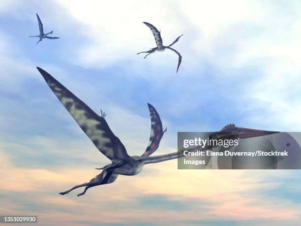 three quetzalcoatlus pterosaurs flying together by sunset. - paläozoologie stock-grafiken, -clipart, -cartoons und -symbole