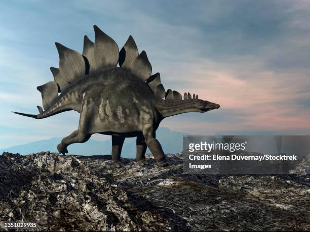 ilustraciones, imágenes clip art, dibujos animados e iconos de stock de stegosaurus walking on a hill by sunset. - scute