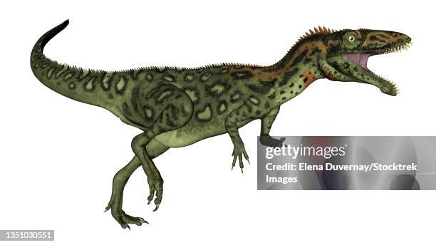 masiakasaurus dinosaur roaring, isolated on white background. - quadrupedalism stock illustrations