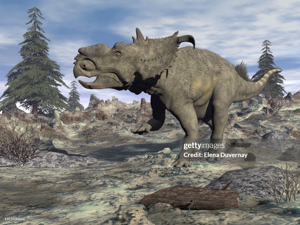 Pachyrhinosaurus dinosaur walking in a prehistoric landscape.