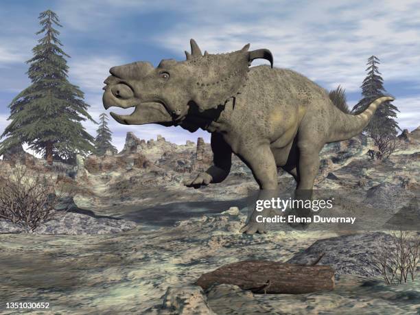 pachyrhinosaurus dinosaur walking in a prehistoric landscape. - beak stock illustrations