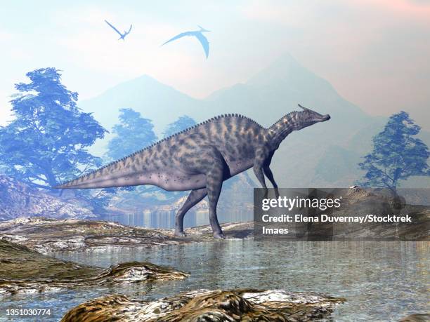 saurolophus dinosaur walking in a beautiful landscape with mountains and water. - parasaurolophus stock-grafiken, -clipart, -cartoons und -symbole