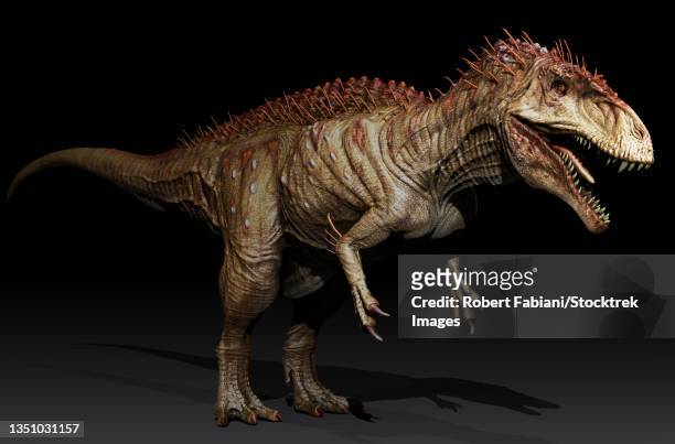 acrocanthosaurus dinosaur, side view. - talon stock illustrations