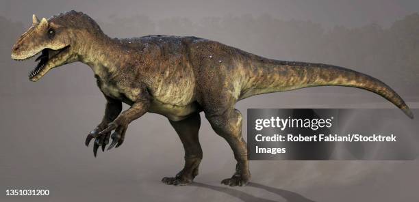 allosaurus dinosaur, side view. - allosaurus stock illustrations