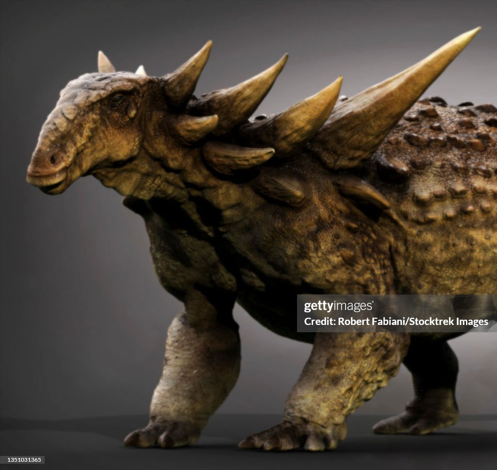 Sauropelta dinosaur.