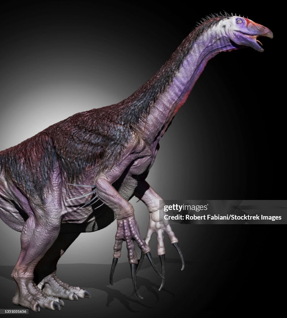 Therizinosaurus dinosaur, side view.