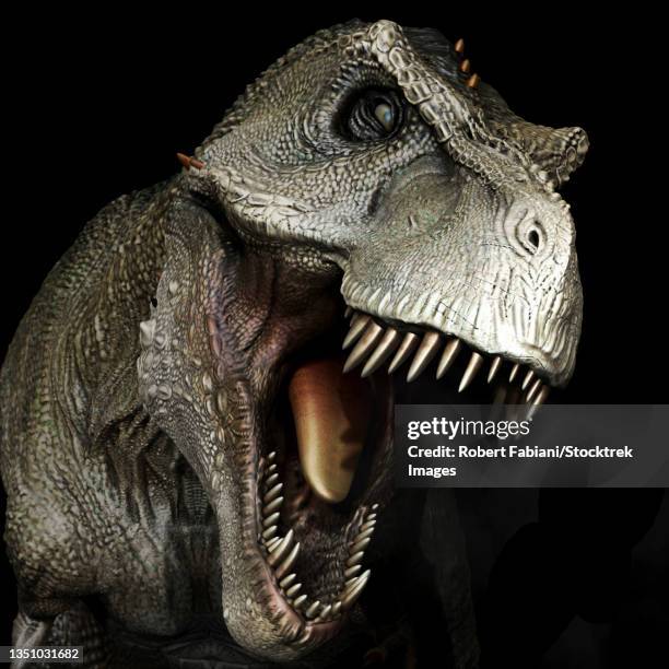 Saurus Head 1,982 Dinosaur Head Stock Photos, High-Res Pictures, and Images - Getty ...
