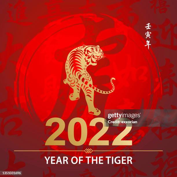 goldfolie tiger jahr 2022 - über die schulter blicken stock-grafiken, -clipart, -cartoons und -symbole