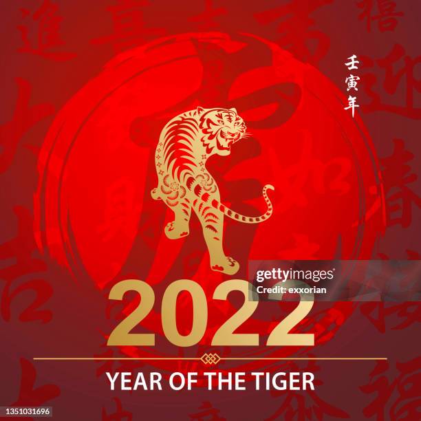 illustrations, cliparts, dessins animés et icônes de feuille d’or tiger année 2022 - looking back