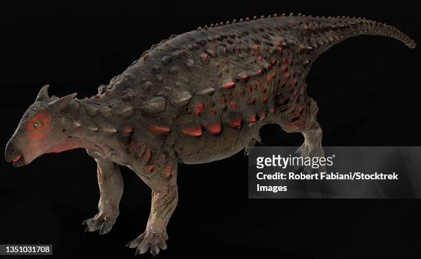 scelidosaurus dinosaur on black background. - thyreophora stock-grafiken, -clipart, -cartoons und -symbole