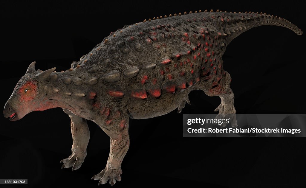 Scelidosaurus dinosaur on black background.
